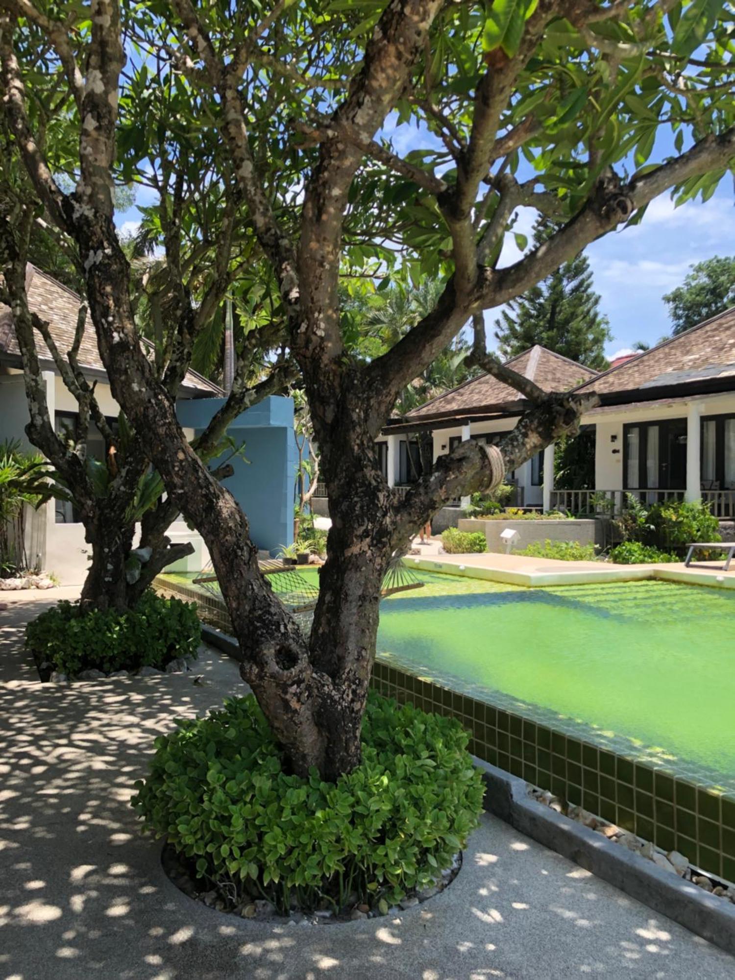 באנג ראק Punnpreeda Beach Resort - Sha Plus Certified מראה חיצוני תמונה